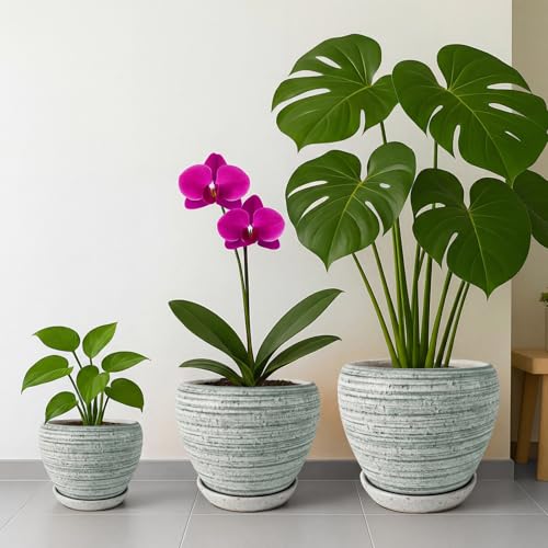 8 Inch Plant Pots (Brushed Green / 8 Inch)