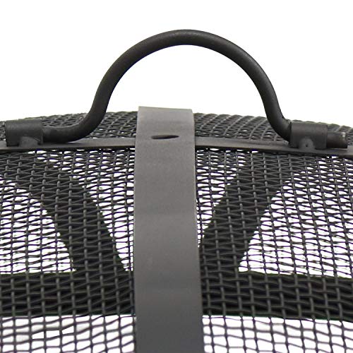 Sunnydaze Fire Pit Bowl with Spark Screen