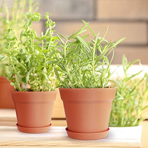 6 Inch Plastic Flower Pots with Drainage Holes and Trays (15 Count)