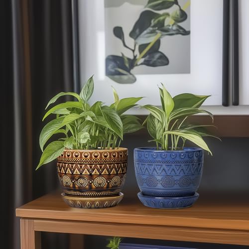 Ceramic Pot for Plants 5.5 Inch