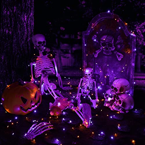 Orange Purple Halloween Solar Lights