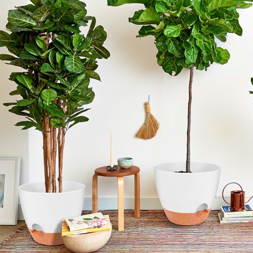 12 Inch Self Watering Planters (2 Count)