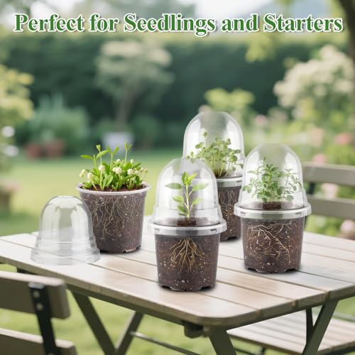 60 Pack Clear Nursery Pots with Humidity Domes (4 Inch Clear Pots With Domes-60p / 4Inch)