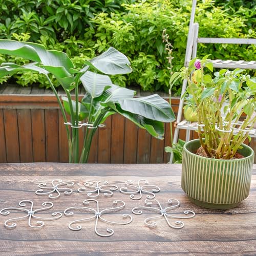 5PCS Monstera Plant Support Hook (5 Count)