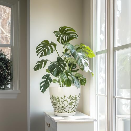 Ceramic Planter