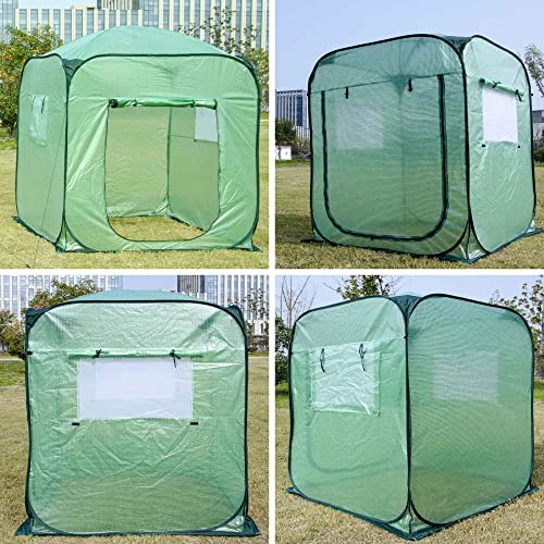 Pop Up Greenhouse Tent