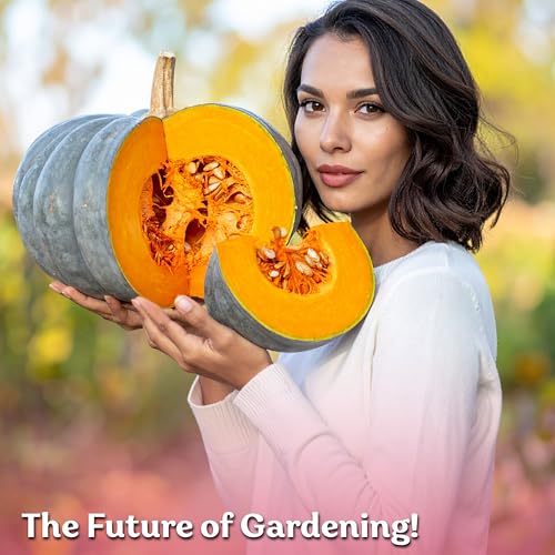25 Jarrahdale Pumpkin Heirloom Vegetable Seeds
