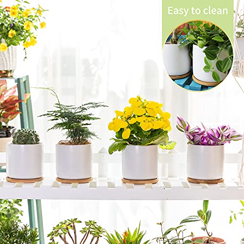 4 Inch Ceramic Plant Pots with Drainage Holes and Trays (White)