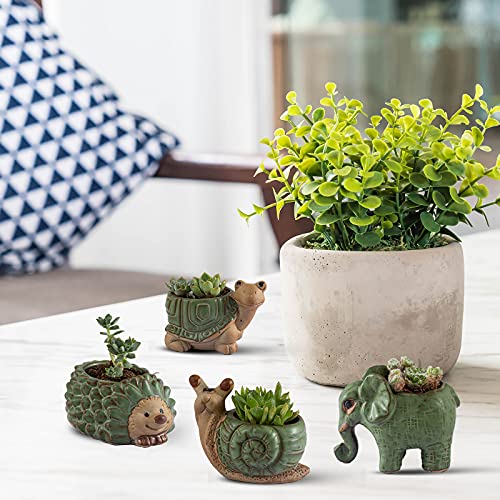Small Succulent Pots with Drainage (4 Count)