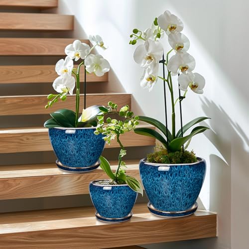 Ceramic Plant Pots Indoor (3 Count)