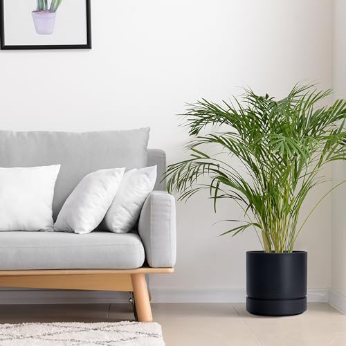 8 Inch Planter Pot with Drainage Hole & Saucer (2 Count)