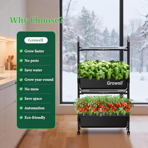 Hydroponics Growing System Kit (Black / 2 Tier/54 Pods)