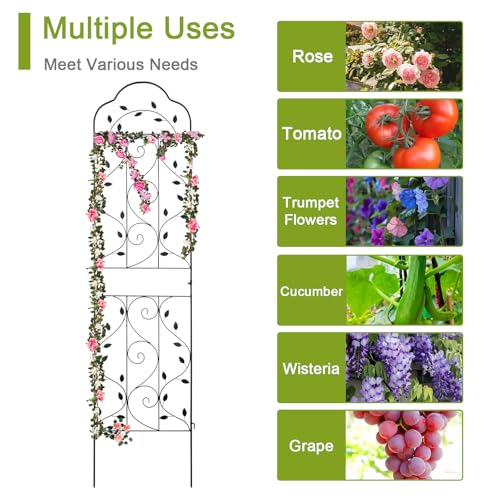 Metal 84 * 19 Garden Trellis 2 (2 Count)