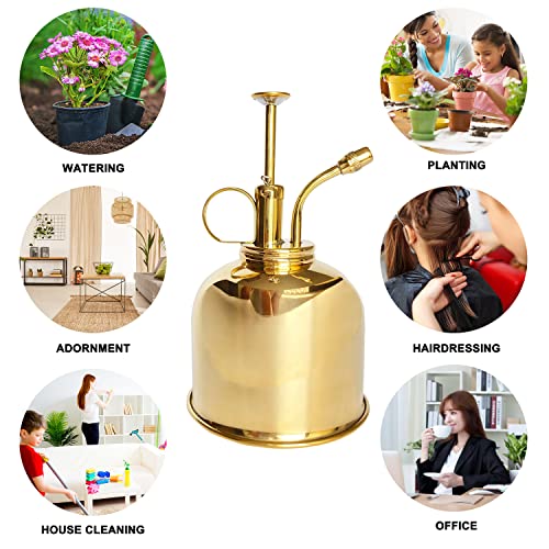 Brass Golden Spray Lianshi can Plant Spay Bottle Inner Flower Spray Mister 300ml
