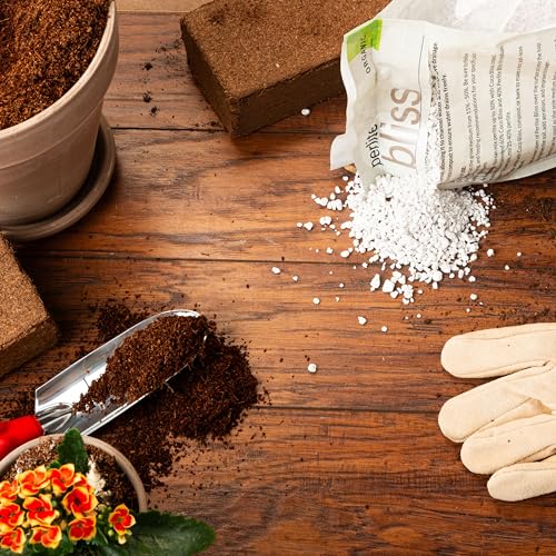 Perlite Bliss (Perlite (1 Cubic Ft))