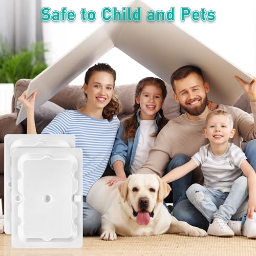 12 Pack Mouse Glue Traps (12 Count)