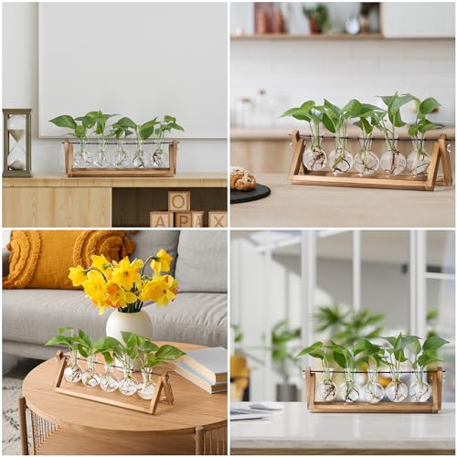 Plant Propagation Stations with Wooden Stand & 5 Glass Bulb Vases