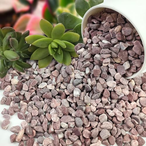 2 lbs Succulent Cactus Rocks (32 Ounce)