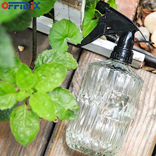 Glass Spray Bottle
