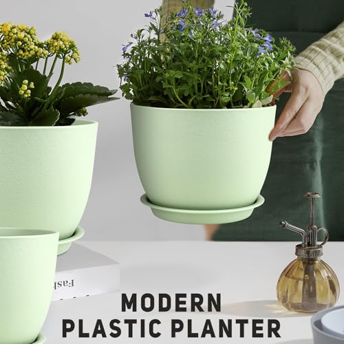 Plant Pots 12 (3 Count)