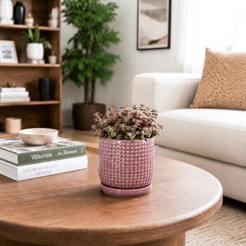 Beaded Ceramic Pot with Saucer (4.3 Inch / Blush Mauve)
