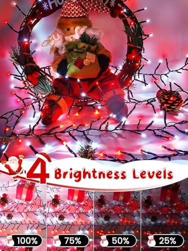 Christmas Cluster Lights 50FT 1000 LED String Lights with Remote Red White (Red and White / 1000LED)