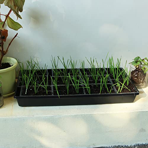 10 Pack Seed Trays Reusable Plant Grow Trays No Drain Holes (10 Count)