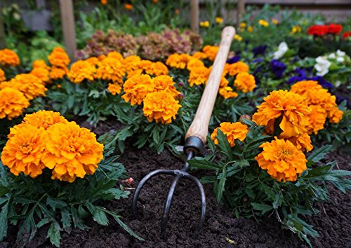 3 Tine Cultivator with Drop Grip Handle
