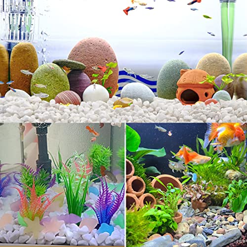 10LB Succulent and Cactus Gravel Pebbles