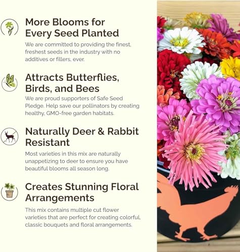 Zin Master Zinnia Seeds for Planting 2026