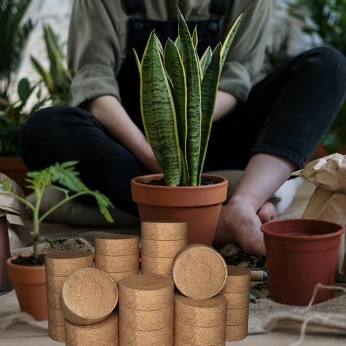 56 Pcs 50mm Compressed Coconut Coir Potting Soil