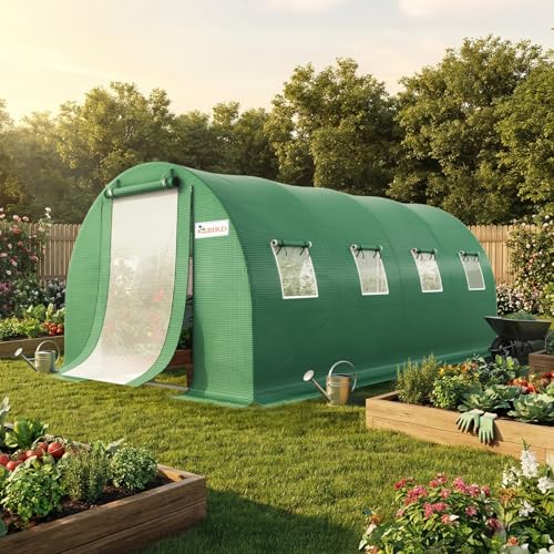 Premium 20x10x6.6FT Greenhouse for Outdoors Large Walk