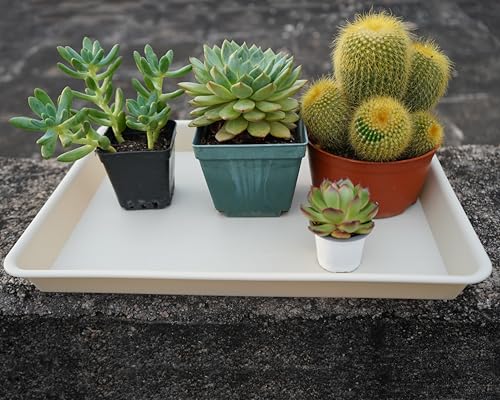 2 Pack Rectangular Plant Saucer Tray