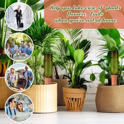 3 Sets Terracotta Watering Spikes (6 Count)