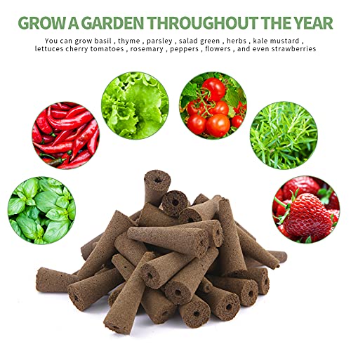 100 Pack Grow Sponges (100 Count)