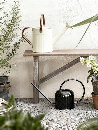 Metal Watering Can for Indoor Outdoor Plant 1