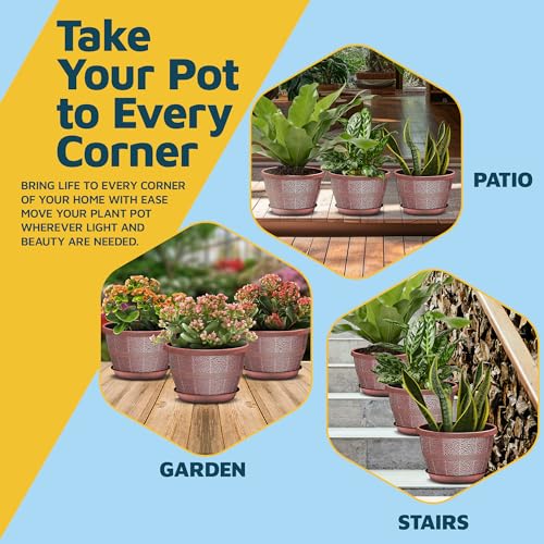 10 Inch Whiskey Barrel Planters Outdoor Pack of 10 (10 Count)