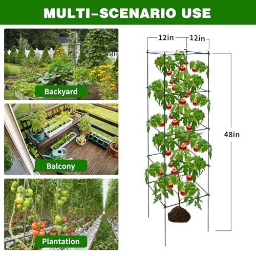 6 Packs Tomato Cages for Garden (6 Count)