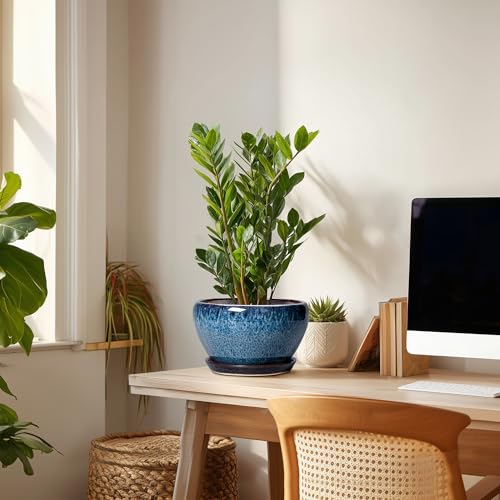 Ceramic Pots for Plants (9 Inch / Blue)