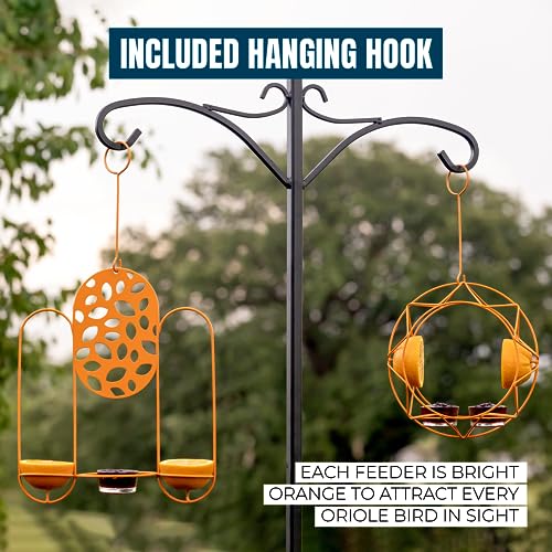 Sun Baltimore Oriole Feeders for Outdoors