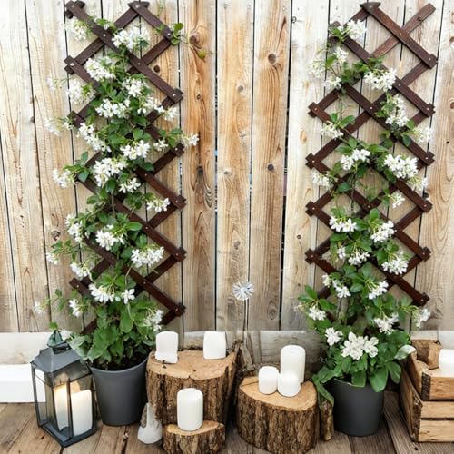 2Pcs Expandable Garden Trellis (2 Count)