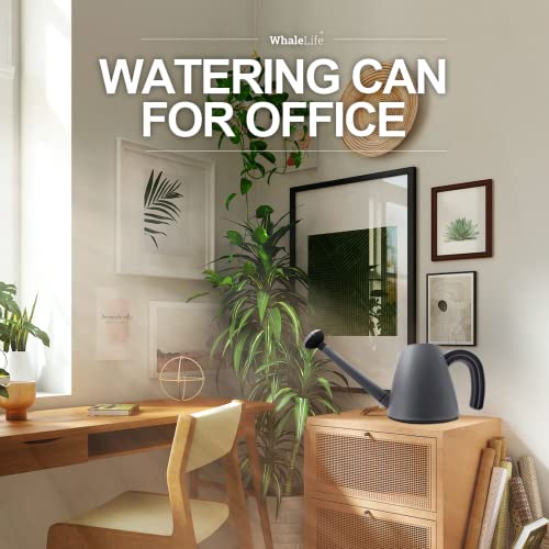 Indoor Plant Watering Can Long Spout for House Plants 2L