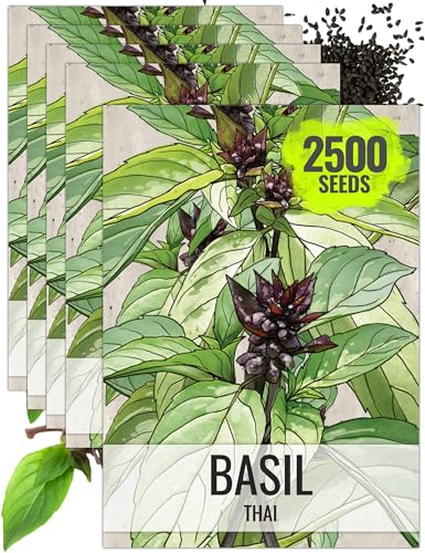 Herb Seeds to Plant Thai Basil (5 Packs)