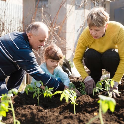 1 500+ Tomato Seeds (10 Count)