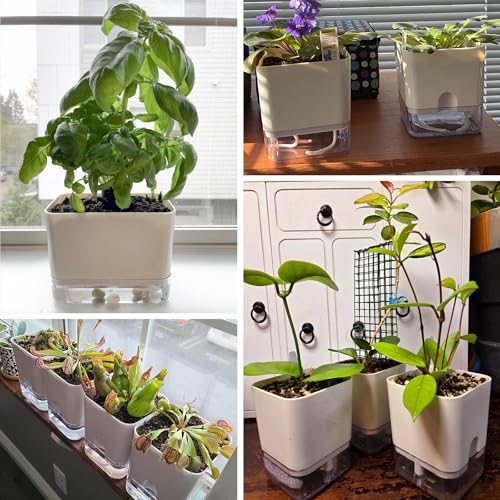 Self Watering Plant Pots for Indoor Plants 7 (7"/10")