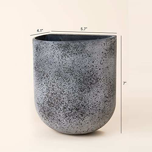 Wall Planters for Indoor Plants (2 Count)