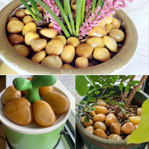 40lbs Yellow River Rocks for Landscaping (640 Ounce)