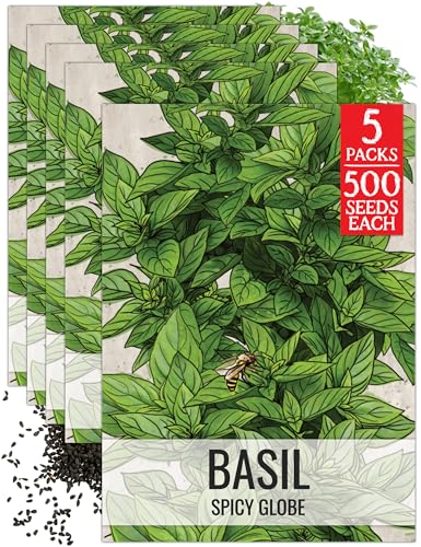 Herb Seeds to Plant Spicy Globe Basil (5 Packs)