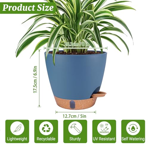 2 Pack 8 inch Plant Pots (2 Count)