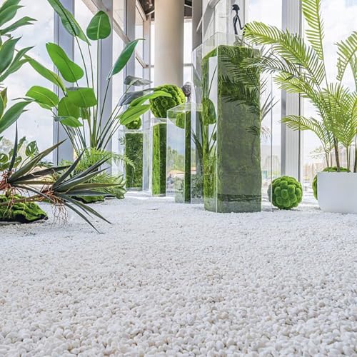 10 LB White Pebbles for Plants